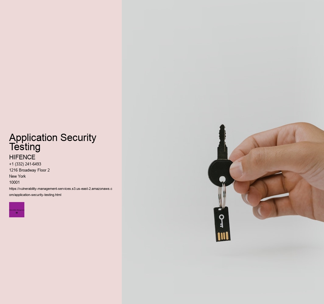 Application Security Testing