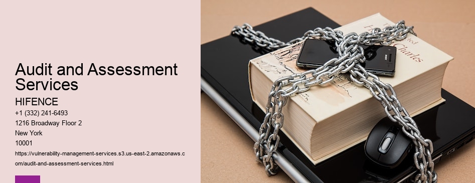 Audit and Assessment Services