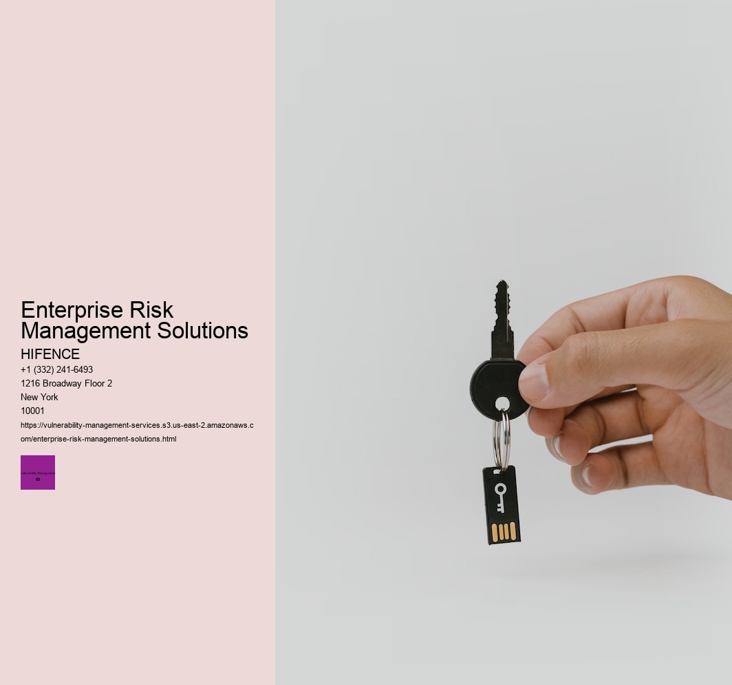 Enterprise Risk Management Solutions