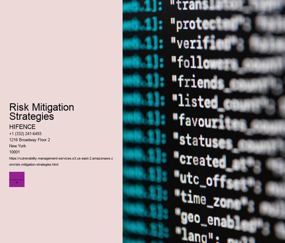 Risk Mitigation Strategies